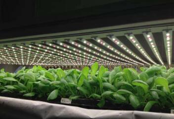 DLC����ֲ���V2.0��ʽ��